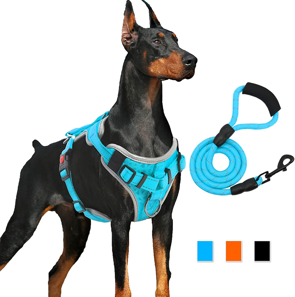 How to Choose the Right Size Harness for Your Pet? - Image by wirestock on Freepik