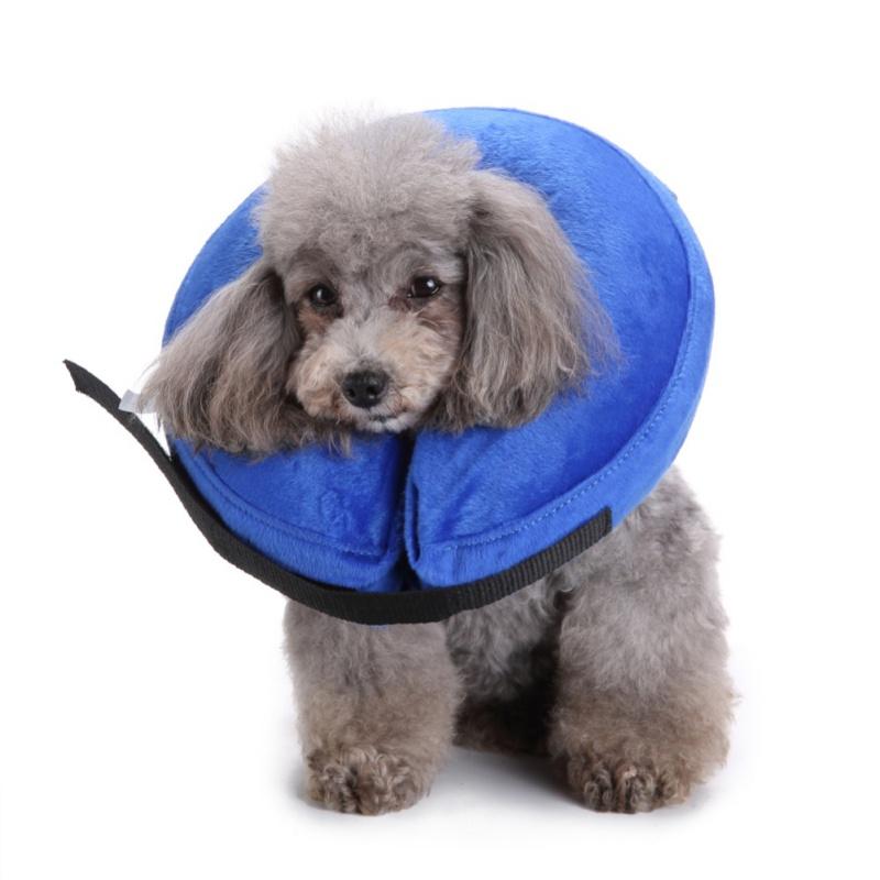 Dog Protection Cover