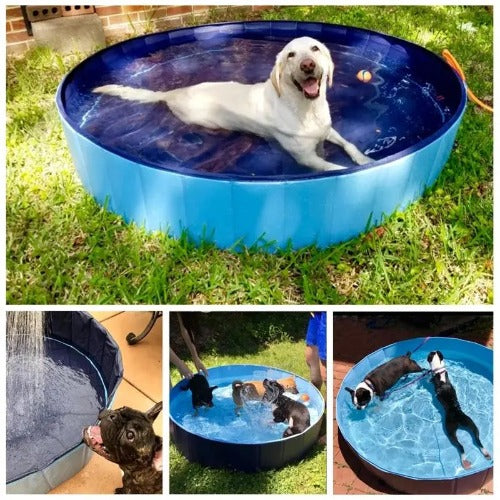 Foldable Dog Bath Summer