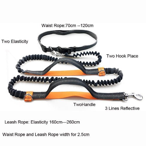 Pet Jogging Walking Leash with Reflective Hands