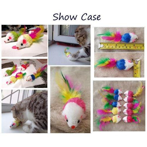 Colorful Feather Cat Toys