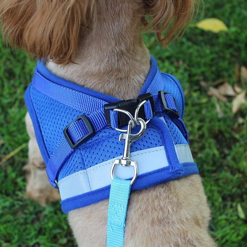 Reflective Safety Pet Harness and Leash Set