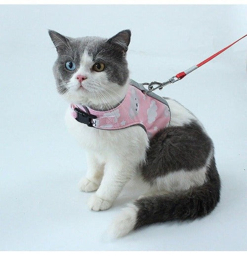 Reflective Traction Rope Pet Harness Set