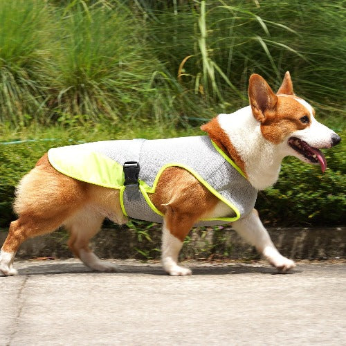 Pet Cooling Clothing 