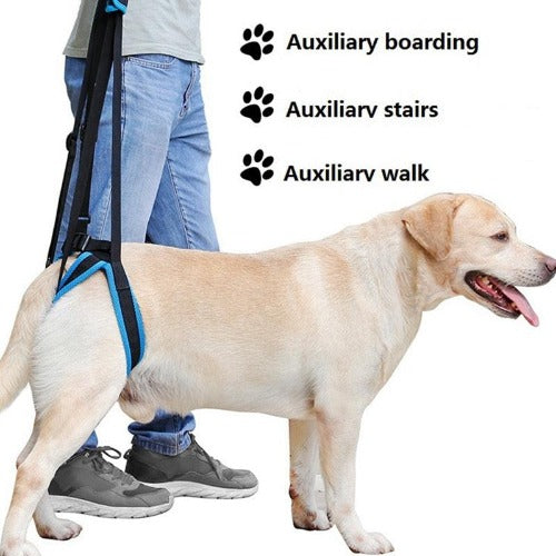 Pet Support Sling Help Weak Legs Stand Up