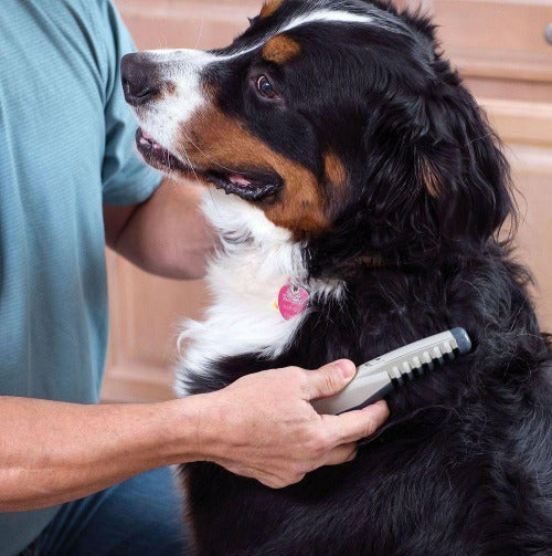 Knot Out Electric Pet Grooming for Pets
