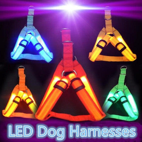 Flashing Light Pet Harness
