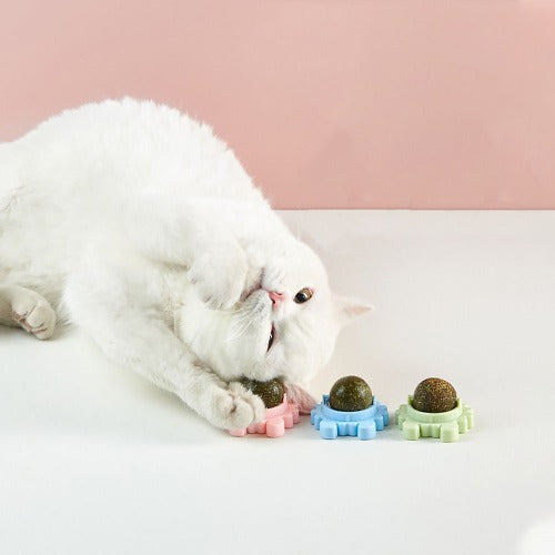 Catnip Rotating Ball  -  Happy Interactive Cat Toy