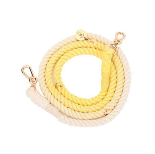 Pet Traction Rope for Training