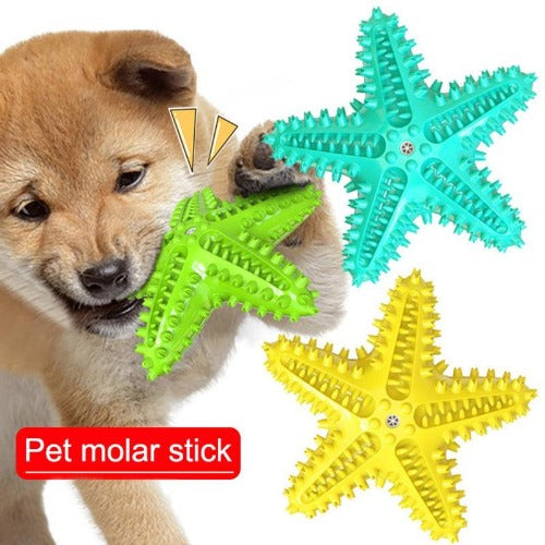 Durable Healthy Toothbrush Biting Pet Toy