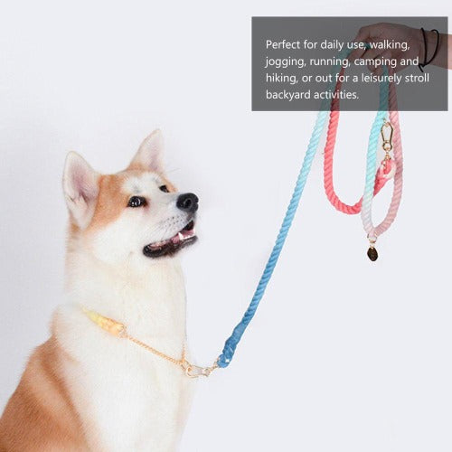 Pet Traction Rope for Training
