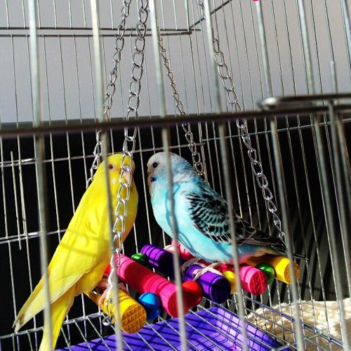 Parakeet Budgie Cockatiel Cage Bird Toys