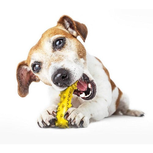 Dumbbell Shaped Faux Bone Pet Chew Toys