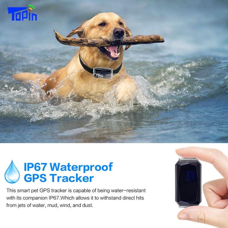 IP67 GSM AGPS Wifi LBS Mini Light Waterproof Pet Collar GPS Tracker