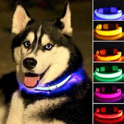 Nylon LED Night Safety Flashing Pet Collar
